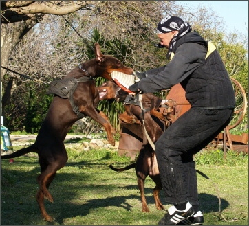 Training in France 23. - 25. 3. 2008 