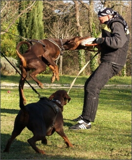 Training in France 23. - 25. 3. 2008 