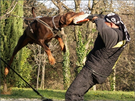 Training in France 23. - 25. 3. 2008 