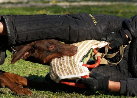 Training in France 23. - 25. 3. 2008 