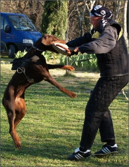 Training in France 23. - 25. 3. 2008 