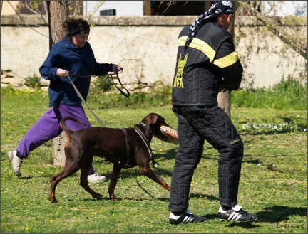 Training in France 23. - 25. 3. 2008 