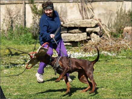 Training in France 23. - 25. 3. 2008 