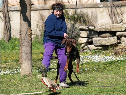 Training in France 23. - 25. 3. 2008 