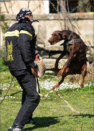 Training in France 23. - 25. 3. 2008 