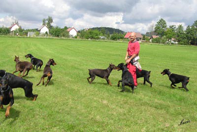 Summer training camp - South Czechia 2005