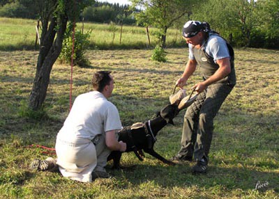 Summer training camp - South Czechia 2005