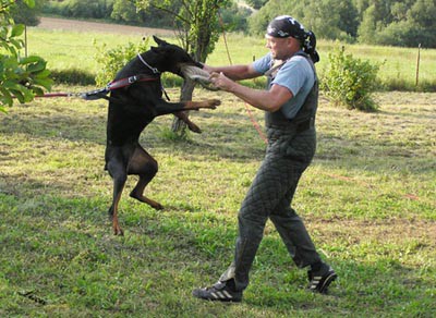 Summer training camp - South Czechia 2005