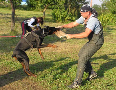 Summer training camp - South Czechia 2005