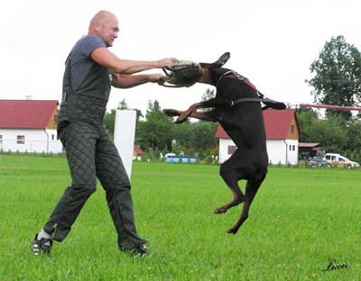 Summer training camp - South Czechia 2005