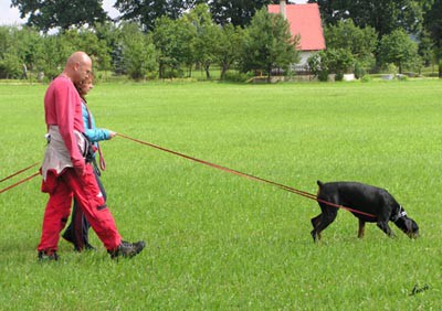 Summer training camp - South Czechia 2005