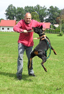 Summer training camp - South Czechia 2005