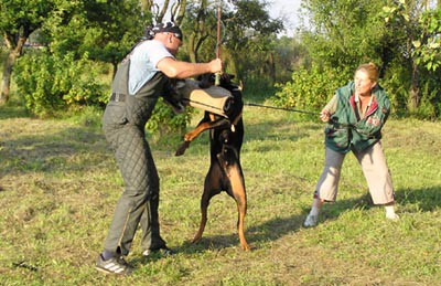 Summer training camp - South Czechia 2005