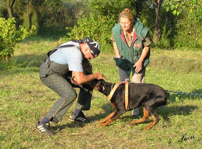 Summer training camp - South Czechia 2005