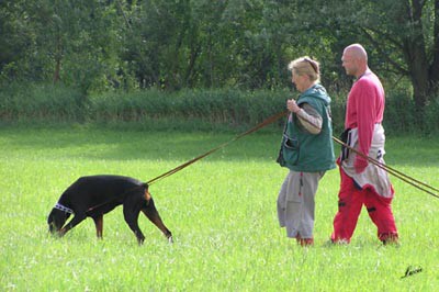 Summer training camp - South Czechia 2005