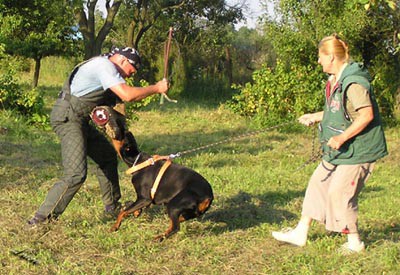 Summer training camp - South Czechia 2005