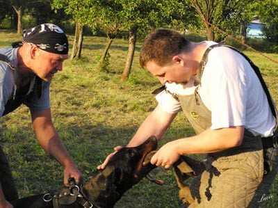 Summer training camp - South Czechia 2005