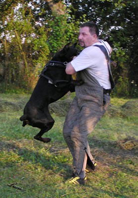 Summer training camp - South Czechia 2005