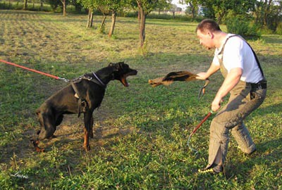 Summer training camp - South Czechia 2005