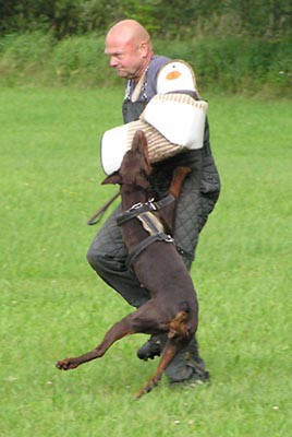 Summer training camp - South Czechia 2005