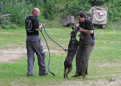 Summer training camp - South Czechia 2005