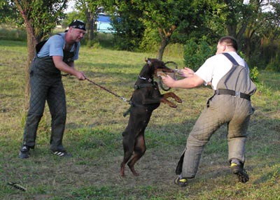 Summer training camp - South Czechia 2005