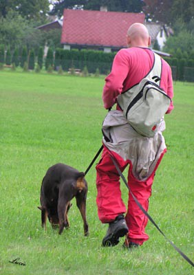 Summer training camp - South Czechia 2005