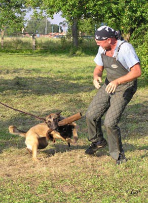 Summer training camp - South Czechia 2005