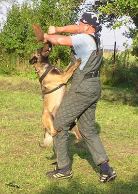 Summer training camp - South Czechia 2005