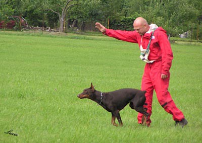 Summer training camp - South Czechia 2005