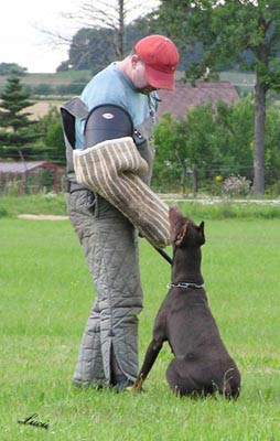 Summer training camp - South Czechia 2005