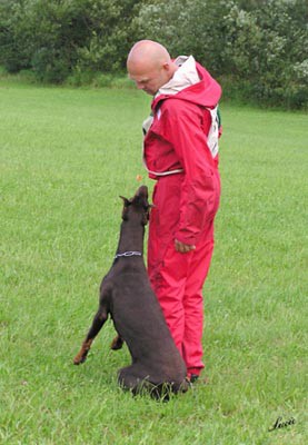 Summer training camp - South Czechia 2005