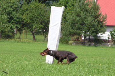 Summer training camp - South Czechia 2005