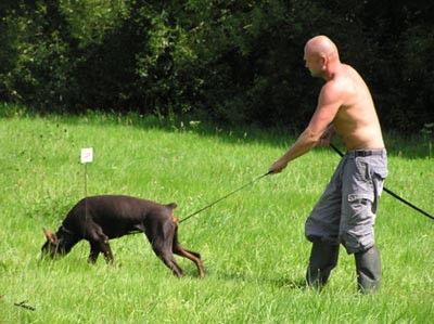 Summer training camp - South Czechia 2005