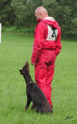 Summer training camp - South Czechia 2005