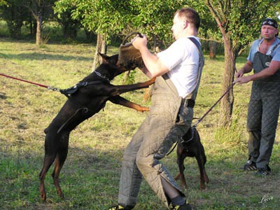 Summer training camp - South Czechia 2005