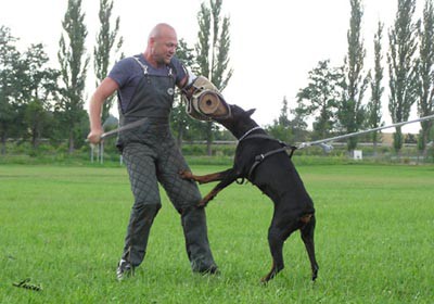 Summer training camp - South Czechia 2005