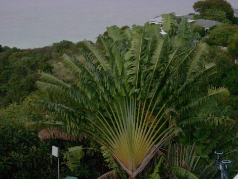 Seminar on Virgin Islands 2008