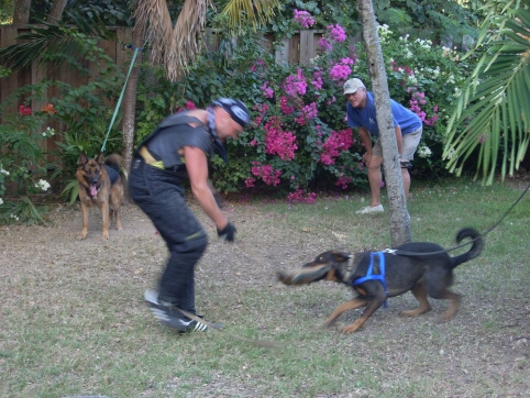 Seminar on Virgin Islands 2008