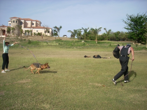 Seminar on Virgin Islands 2008