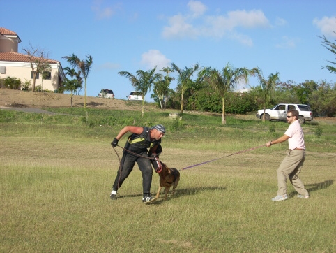 Seminar on Virgin Islands 2008