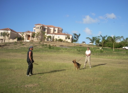 Seminar on Virgin Islands 2008