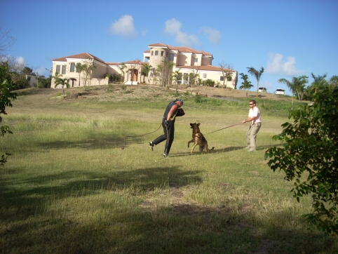 Seminar on Virgin Islands 2008