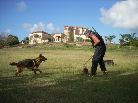 Seminar on Virgin Islands 2008