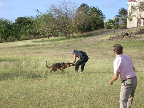 Seminar on Virgin Islands 2008