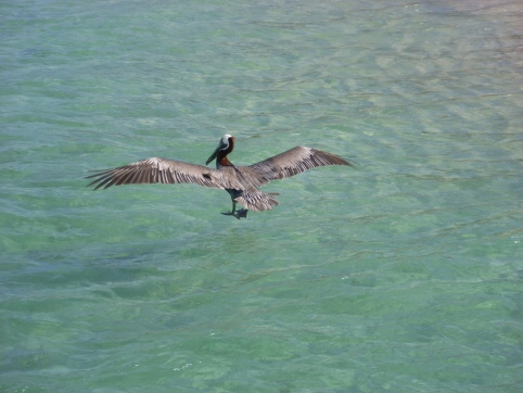 Seminar on Virgin Islands 2008