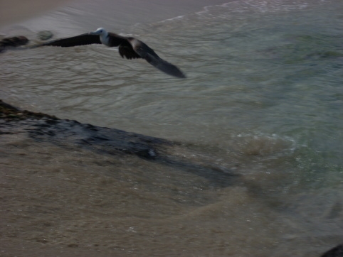 Seminar on Virgin Islands 2008