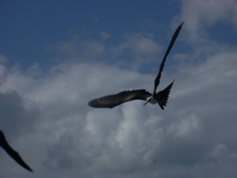 Seminar on Virgin Islands 2008