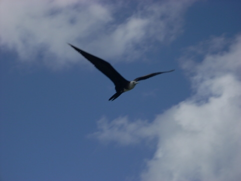 Seminar on Virgin Islands 2008