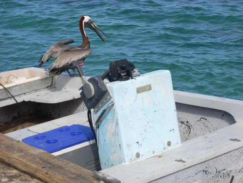 Seminar on Virgin Islands 2008